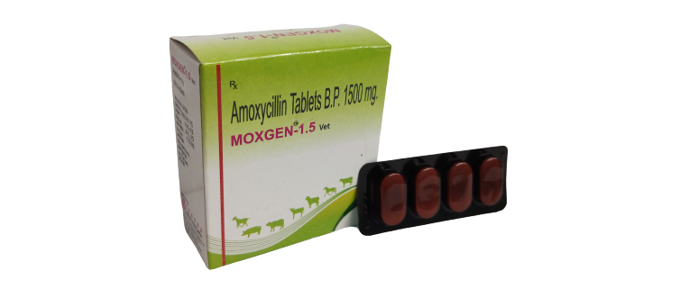 Awesome Product Image