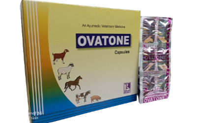 Awesome Product Image