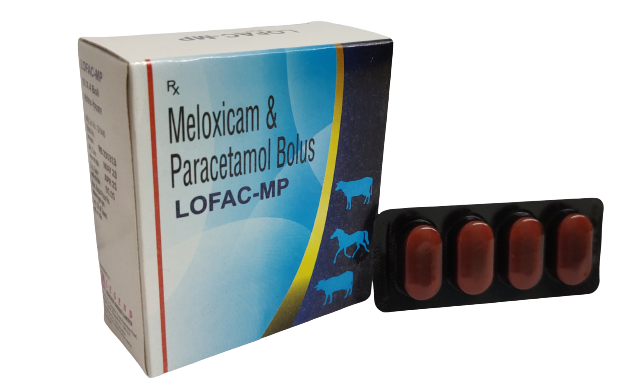 Awesome Product Image