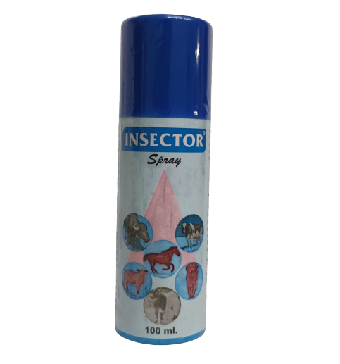 Awesome Product Image