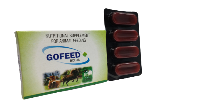 Awesome Product Image